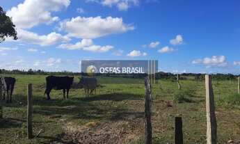 Imagem 6: Fazenda em Br 367 - Porto Seguro, BA