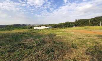 Imagem 3: Americana - Terreno Padrão - Parque Nova Carioba