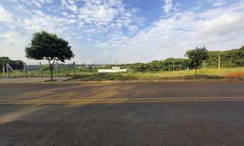 Imagem 2: Americana - Terreno Padrão - Parque Nova Carioba