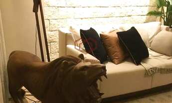 Imagem 7: Cuiabá - Apartamento Padrão - Jardim Santa Marta