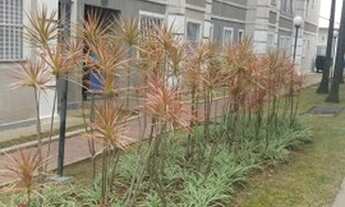 Imagem 2: Apartamento para venda com 49 metros quadrados com 2 quartos em Parque Munhoz - São Paulo