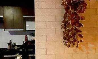 Imagem 2: Apartamento com 2 dormitórios à venda, 47 m² por R$ 244.000,00 - Jardim das Indústrias - S