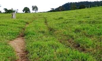 Imagem 3: Sitio 52 alqueires Monte Negro