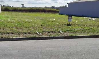 Imagem 3: Terrenos em Saltinho