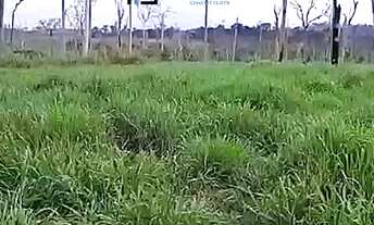 Imagem 3: Fazenda/Agricultura/Pecuaria/Pastagens/Para/Agricultura