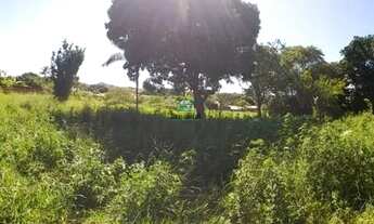 Imagem 2: Terreno Comercial para Venda Chácaras Americanas, Anápolis