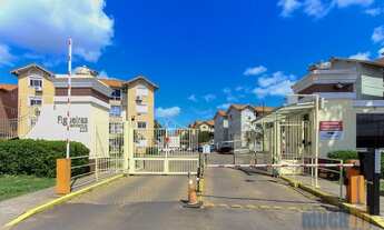 Imagem: Canoas - Padrão - Mato Grande