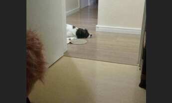 Imagem 7: Apartamento com 2 dormitórios à venda, 60 m² por R$ 181.000,00 - Chácara Letônia - America