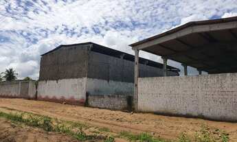 Imagem 2: Galpão comercial