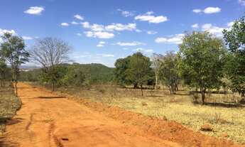 Imagem 6: Área chácara vende, 20.000 m2, 6 minutos da cidade, mata preservada, bom pra chalé- Pirenó