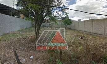 Imagem 3: Terreno Lote para Venda em São João Batista Santa Luzia-MG - 388