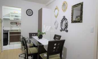 Imagem 6: CURITIBA - Padrão - Xaxim