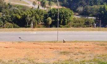 Imagem 5: Lote - Vintage Munk (3ª fase) pronto para construir!