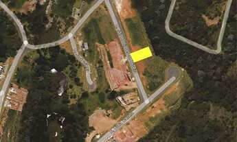 Imagem: Lote - Vintage Munk (3ª fase) pronto para