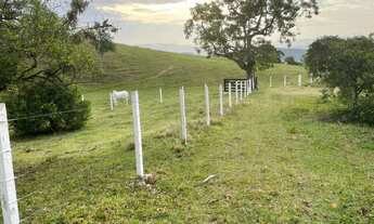 Imagem 2: Excelente área para sítio com 7,0 hectares disponível para venda em Canelinha SC!!!