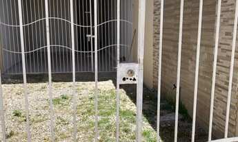 Imagem 2: Casa Casa com 3 dormitórios