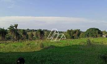 Imagem 4: Sítio com 4 dormitórios à venda, 162140 m² por R$ 1.250.000 - Jóquei Clube - Marília/SP