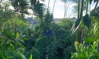 Imagem 5: Terreno à venda, 2106 m² por R$ 3.500.000,00 - Centro - Novo Hamburgo/RS