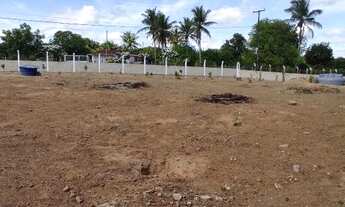 Imagem 2: Mini sito, área pronta no Retiro