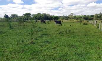 Imagem 4: Área de Terra - 12 mil mt2