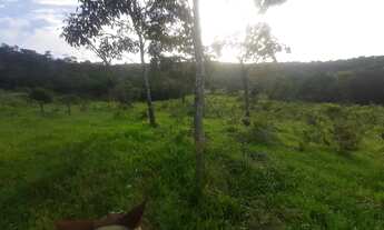Imagem 3: FAZENDA EM CAMPINORTE 55 ALQUEIRES