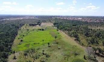 Imagem: Sitio a venda com 12 hectares urbanos, frete