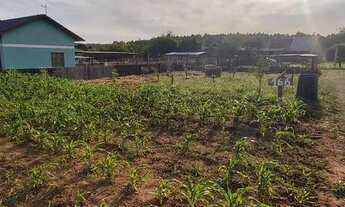 Imagem 3: Lindo terreno com 1000 M ²