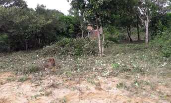 Imagem 3: Terreno à venda em Porto de Sauípe