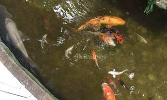 Imagem 16: Casa com 3 dormitórios à venda, 150 m² por R$ 1.450.000,00 - São Francisco - Niterói/RJ