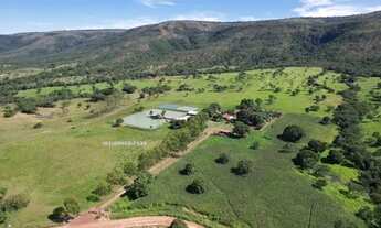 Imagem 7: Vende-se Fazenda em Buritis MG, 180km de Brasília - Um Paraíso de 159 Hectares