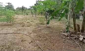 Imagem 6: CHÁCARA NO TARUMÃ 5000m2