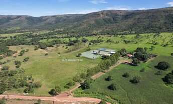 Imagem 2: Vende-se Fazenda em Buritis MG, 180km de Brasília - Um Paraíso de 159 Hectares