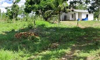 Imagem 3: Fazenda de 115 t, próxima a linha verde, estrada do coco, com casa, curral e rio