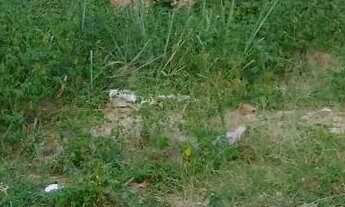 Imagem 2: Vendo terreno no jardim maua Distrito