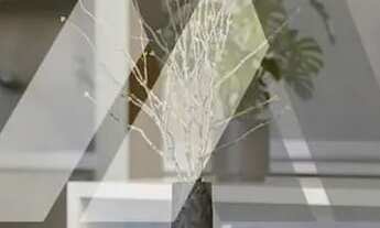 Imagem 2: Casa à venda, Alto da Pitinga, Arraial D'Ajuda, Porto Seguro, BA