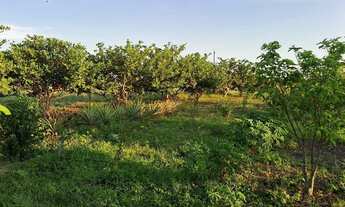 Imagem 6: Sítio a 56km de Boa Vista