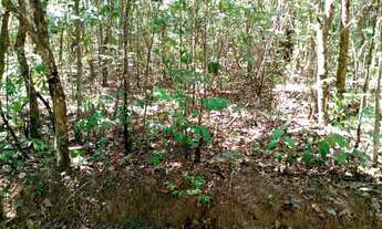 Imagem: Chácaras próximo a Anápolis