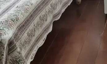 Imagem 5: Casa alto Umuarama próximo a UFU