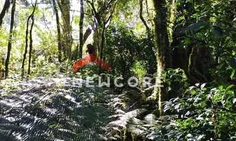 Imagem: Lote em Rua São Gotardo - São Bernardo