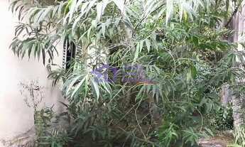 Imagem 4: Terreno, 320 m² - venda por R$ 1.800.000,00 ou aluguel por R$ 4.400,00/mês - Vila Carrão