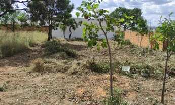 Imagem: Vendo LOTE de 360 m2 em POSSE/GO - Vazio