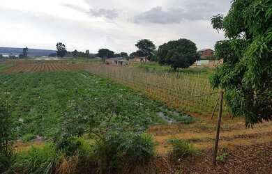 Imagem 3: Vendo chácara Incra 8 - Beira lago