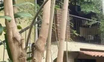 Imagem 5: Aluguel Rapazes Casa Méier e Maria da Graça