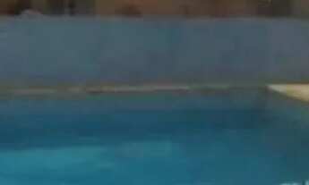 Imagem 5: ESPETACULAR CASA BAIRRO DA VILA ROMERO, PERTO DO SANTANA PARK , 10 VAGAS, R$ 2.250.000,00