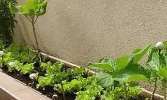 Imagem 4: Casa em Rua Domingos de Parolis - Jardim Carolina - Poços de Caldas/MG