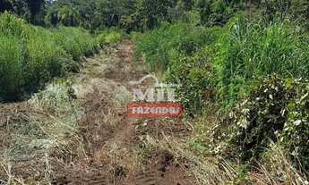 Imagem 6: Fazenda em Montividiu do Norte 57 Alqueires (275,8 Hectares) - GO