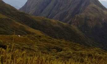 Imagem 4: Natureza viva e original