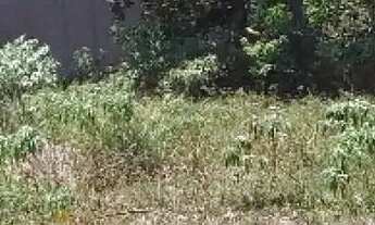 Imagem: Terreno no Mosqueiro Robalo