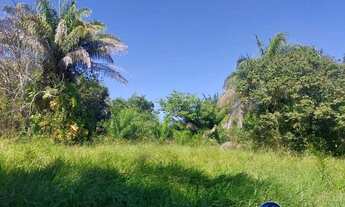 Imagem 4: Fazenda à Venda em Aruanã - GO | 100 Alqueires