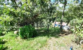 Imagem 7: Terreno à venda na linha 40 em Caxias do Sul